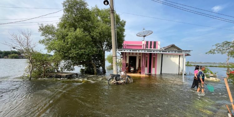 Banjir Rob Terjang Pesisir Utara Pati