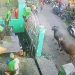 2 Kerbau Kurban di Mijen Demak Lepas dan Ngamuk, Lukai Warga Sampai Dilarikan ke Puskesmas