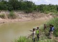Cuci Daging Kurban di Sungai, Warga Demak Tenggelam di Sungai Tuntang