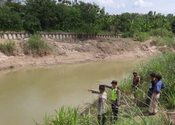 Cuci Daging Kurban di Sungai, Warga Demak Tenggelam di Sungai Tuntang