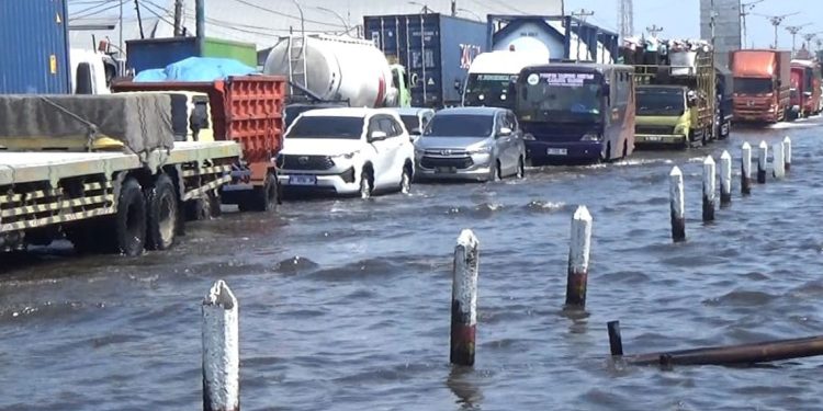 Banjir Rob di Jalur Pantura Demak Makin Parah, Sopir Truk Terjebak Sampai 4 Jam