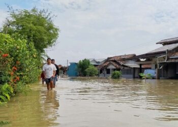 Banjir Rob Sebulan Belum Surut, Warga Tunggulsari Tunggu Solusi dari Pemerintah