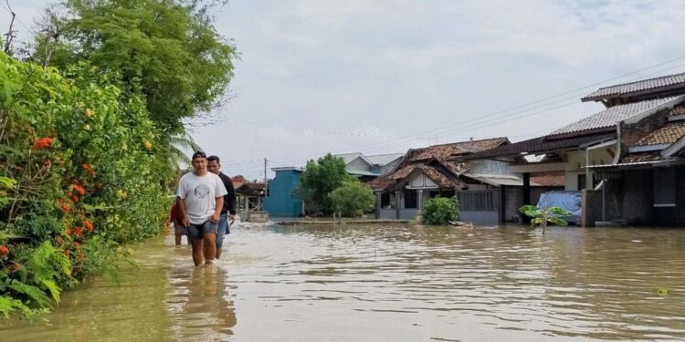 Banjir Rob Sebulan Belum Surut, Warga Tunggulsari Tunggu Solusi dari Pemerintah