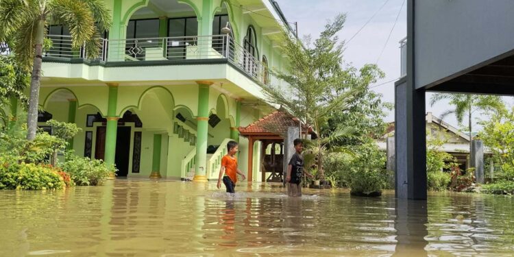 Jika Banjir Rob Tak Segera Ditangani, Desa Tunggulsari Pati Terancam Seperti Sayung Demak