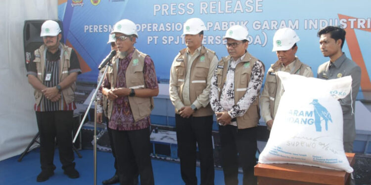 Pati Punya Pabrik Garam Industri, Bisa Jadi Solusi Tak Lagi Impor