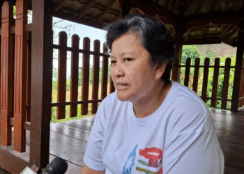 Temuan Fosil Gajah Purba Utuh di Patiayam, Lestari Bakal Buka untuk Wisata Edukasi