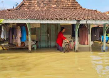 Ratusan Rumah di Tunggulsari Tayu Terendam Banjir, Kades: Ini Banjir Terparah