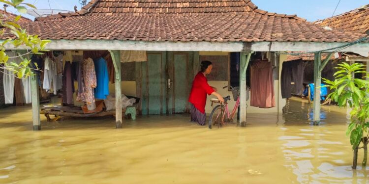 Ratusan Rumah di Tunggulsari Tayu Terendam Banjir, Kades: Ini Banjir Terparah