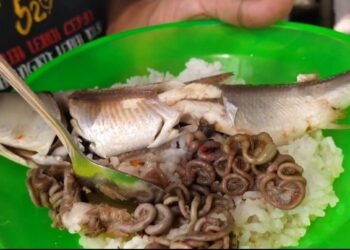 Menyantap Kuliner Tambak Khas Pati