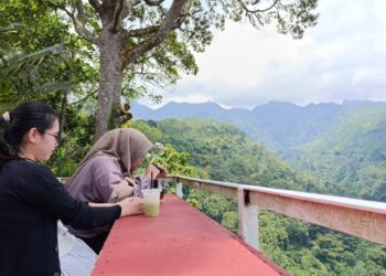 Nikmatnya Kopi Peninggalan Belanda di Pegunungan Muria Pati