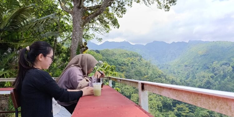 Nikmatnya Kopi Peninggalan Belanda di Pegunungan Muria Pati