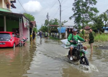 Hujan Deras Semalaman, Banjir di Tunggulsari Tayu Makin Parah