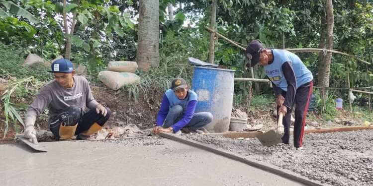 Wabup Pati Tanggapi Warga 2 Desa di Gembong Swadaya Perbaiki Jalan Rusak