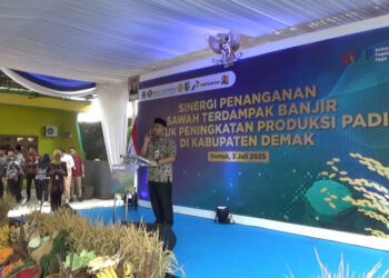 Atasi Banjir Rob, Pemerintah Akan Bangun Hybrid Sea Wall di Demak-Jepara Senilai 1,7 T