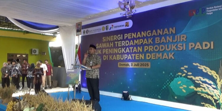 Atasi Banjir Rob, Pemerintah Akan Bangun Hybrid Sea Wall di Demak-Jepara Senilai 1,7 T