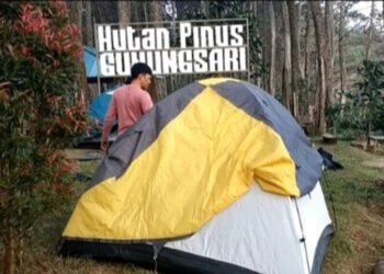 Kamping dan Menikmati Kabut di Hutan Pinus Gunungsari Pati