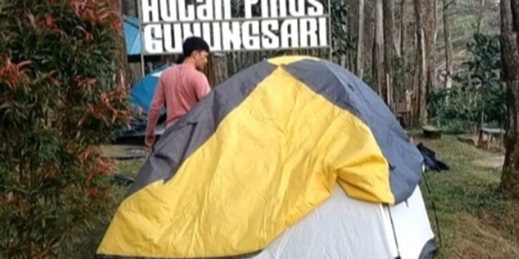 Kamping dan Menikmati Kabut di Hutan Pinus Gunungsari Pati