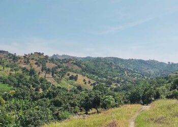 Potensi Besar Penemuan Fosil Purba di Kabupaten Pati