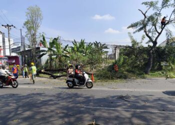 Pelebaran Jalan Pati-Kudus dari SMPN 4 ke Tugu Bandeng Akan Habiskan Rp43 M