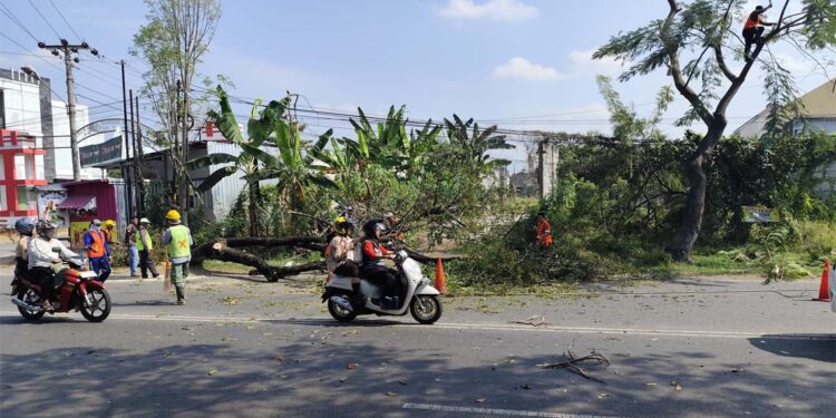 Pelebaran Jalan Pati-Kudus dari SMPN 4 ke Tugu Bandeng Akan Habiskan Rp43 M