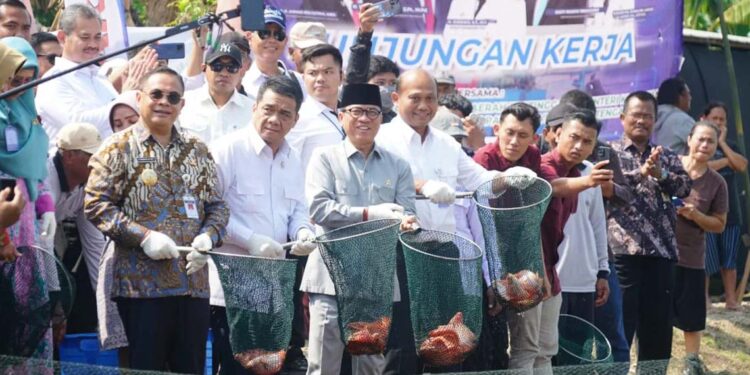 Kementerian Kelautan Buat 100 Kampung Nelayan, Salah Satunya di Pati