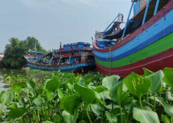 Eceng Gondok “Penuhi” Sungai, Nelayan Tradisional Juwana Tak Bisa Melaut