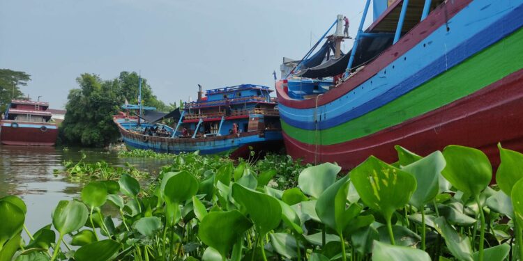 Eceng Gondok “Penuhi” Sungai, Nelayan Tradisional Juwana Tak Bisa Melaut