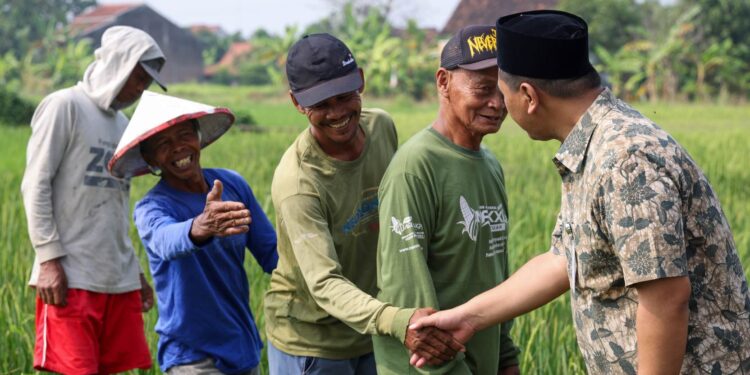 Grobogan Penyangga Pangan Jateng dan Nasional, Gus Yasin: Stop Alih Fungsi Lahan