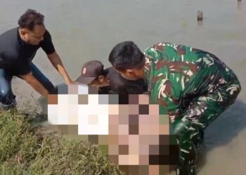 Warga Karangrejo Demak Digegerkan Penemuan Mayat Tanpa Busana di Sawah