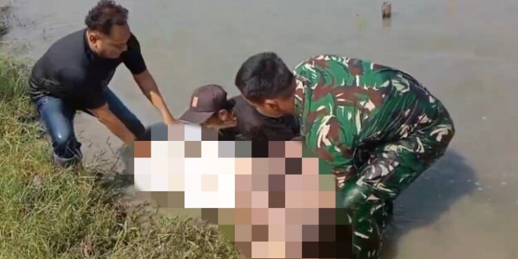 Warga Karangrejo Demak Digegerkan Penemuan Mayat Tanpa Busana di Sawah