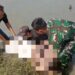 Warga Karangrejo Demak Digegerkan Penemuan Mayat Tanpa Busana di Sawah