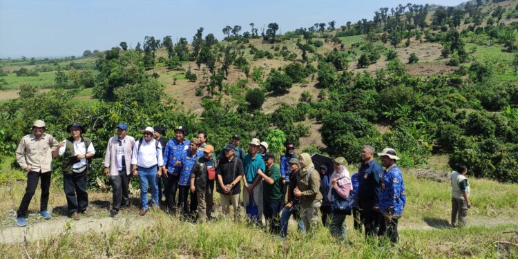 Pati Punya Potensi Besar Penemuan Fosil Purba tapi Belum Digarap Serius