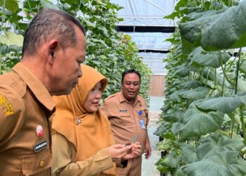 Jumlah Petani Muda di Grobogan Minim, Dispertan Iming-Imingi Kemudahan Ini