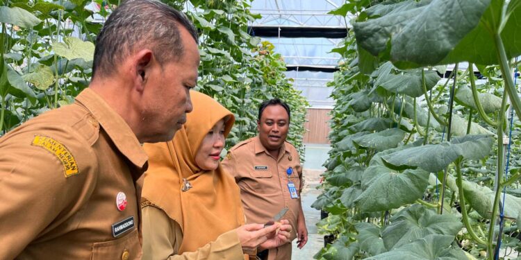 Jumlah Petani Muda di Grobogan Minim, Dispertan Iming-Imingi Kemudahan Ini