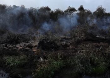 Sumsel Siaga Karhutla, Negara Turun Tangan