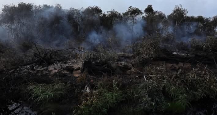 Sumsel Siaga Karhutla, Negara Turun Tangan