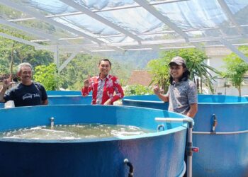 TP PKK Desa Tempur Terima Bantuan Budi Daya Ikan dari PT PLN Tanjung Jati B Jepara