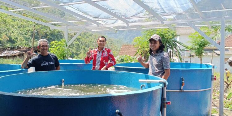 TP PKK Desa Tempur Terima Bantuan Budi Daya Ikan dari PT PLN Tanjung Jati B Jepara