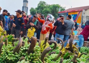 Warga Gunungsari Pati Kirim Pisang 3 Pikap ke Posko Demo 13 Agustus