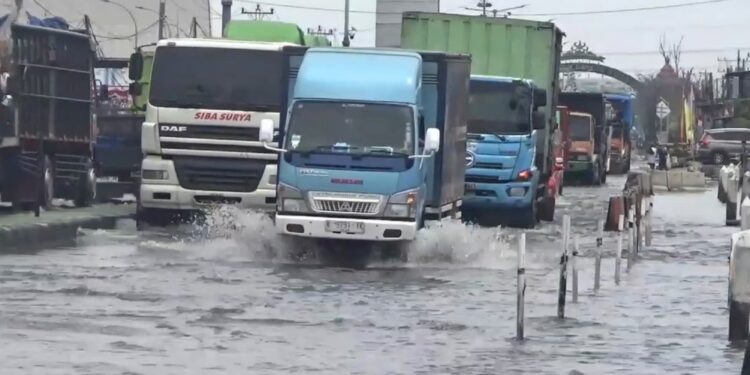 Banjir Rob Setinggi 40 Cm Kembali Rendam Jalur Pantura Demak