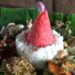 Tumpeng Merah Putih, Wujud Doa dan Harapan untuk Indonesia