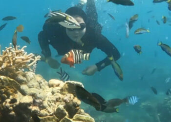 Mengagumi Keindahan “Surga Bawah Laut” Karimunjawa dengan Tarif Terjangkau