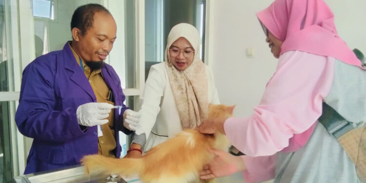 Cegah Rabies, 100 Kucing hingga Anjing di Pati Divaksin Gratis