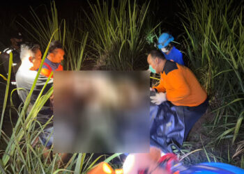 Pergi dari Rumah 2 Pekan Lalu, Warga Sidokerto Pati Ditemukan Tewas Membusuk di Ladang Tebu