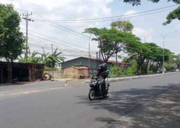 Keluhkan Panasnya Jalan Sudirman, Warga Pati Diminta Sabar Nanti Ditanami Ratusan Pohon