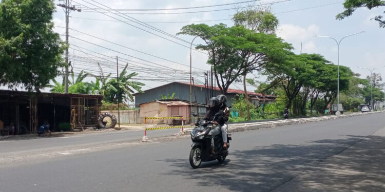 Keluhkan Panasnya Jalan Sudirman, Warga Pati Diminta Sabar Nanti Ditanami Ratusan Pohon
