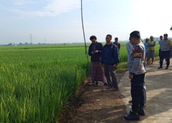 Seorang Pemuda Meninggal Setelah Kesetrum Jebakan Tikus di Sawah