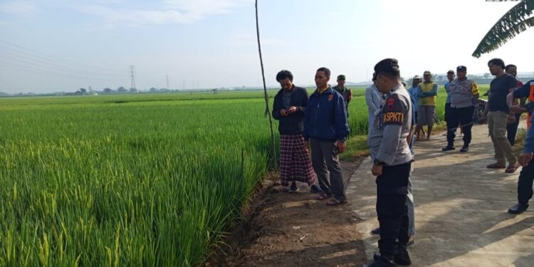 Seorang Pemuda Meninggal Setelah Kesetrum Jebakan Tikus di Sawah