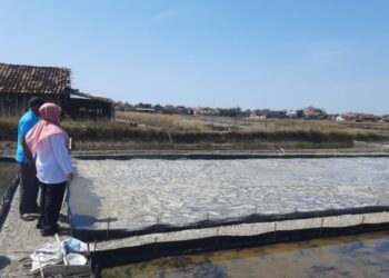 Kemarau Basah, Sampai Agustus Produksi Garam di Pati Baru 15 Ton