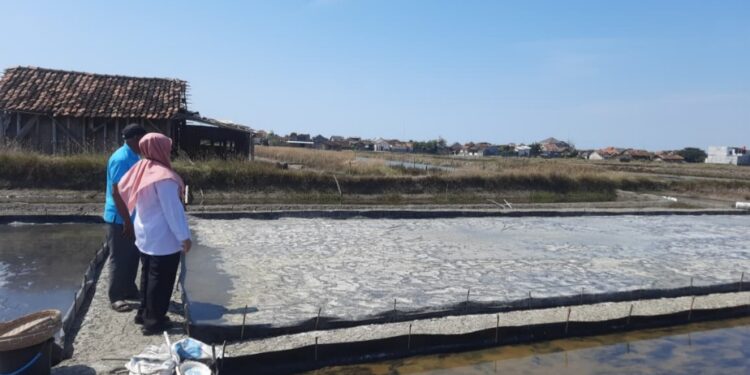 Kemarau Basah, Sampai Agustus Produksi Garam di Pati Baru 15 Ton
